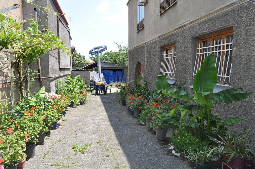 Guest House Cico Telavi Esterno foto